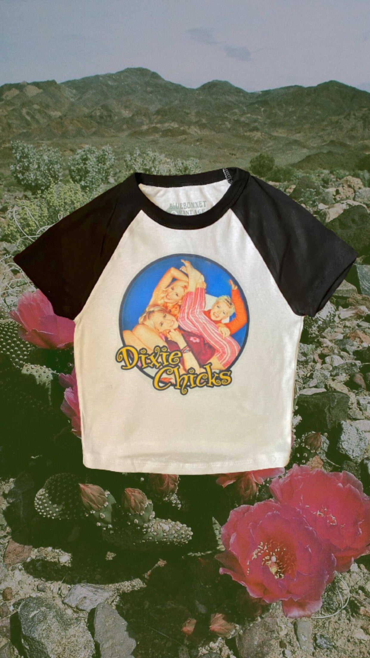 Dixie Chicks Baby Tee