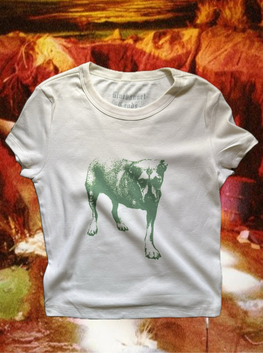 AIC Dog Baby Tee